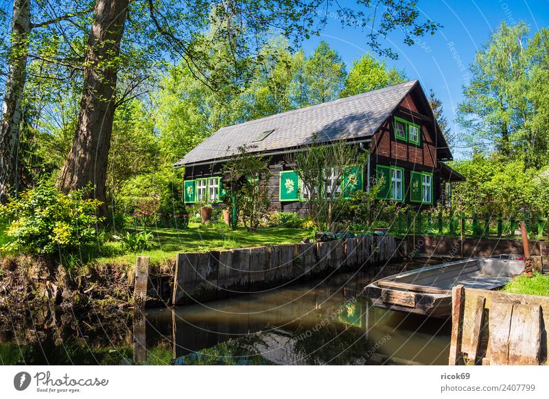 Gebäude im Spreewald in Lehde Erholung Ferien & Urlaub & Reisen Tourismus Haus Natur Landschaft Wasser Frühling Baum Wald Fluss Dorf Architektur