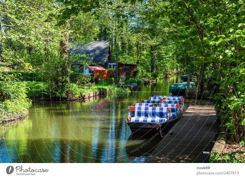 Kahn im Spreewald in Lehde Erholung Ferien & Urlaub & Reisen Tourismus Haus Natur Landschaft Wasser Frühling Baum Wald Fluss Dorf Gebäude Sehenswürdigkeit