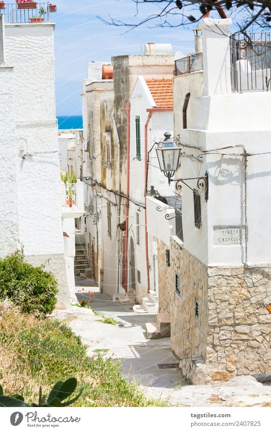 Vieste, Italien - Blick in eine historische Gasse von Vieste Apulien Architektur ruhig Kanal Großstadt Kopfsteinpflaster Fassade Fischerdorf Lücke Altstadt Haus