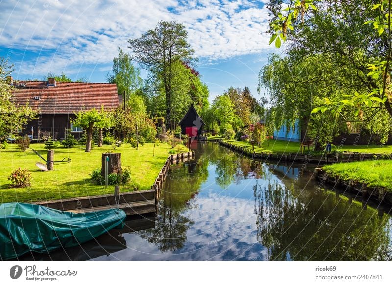 Gebäude im Spreewald in Lehde Erholung Ferien & Urlaub & Reisen Tourismus Haus Natur Landschaft Wasser Frühling Baum Wald Fluss Dorf Sehenswürdigkeit