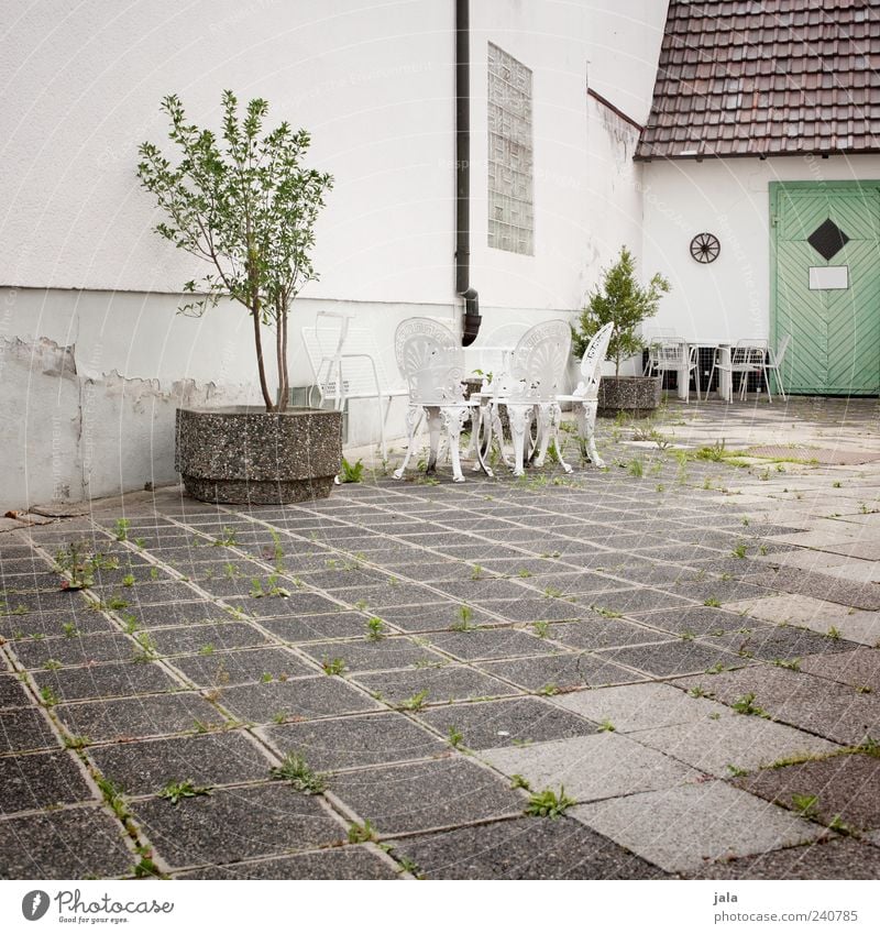 schön gemacht Möbel Stuhl Tisch Baum Grünpflanze Topfpflanze Haus Platz Bauwerk Gebäude Architektur Tür trist grau grün weiß Gartenstuhl Gartentisch