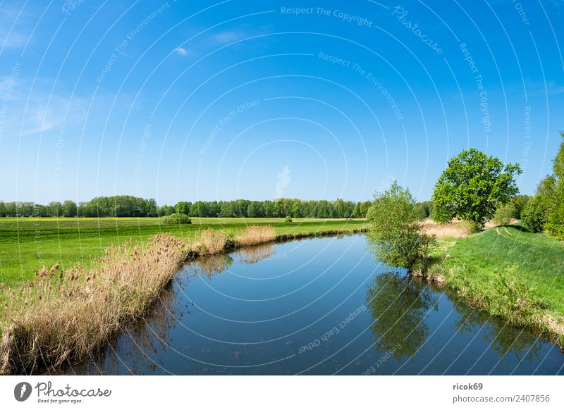 Landschaft im Spreewald bei Lübbenau Erholung Ferien & Urlaub & Reisen Tourismus Natur Wasser Wolken Frühling Baum Wald Fluss Sehenswürdigkeit blau grün