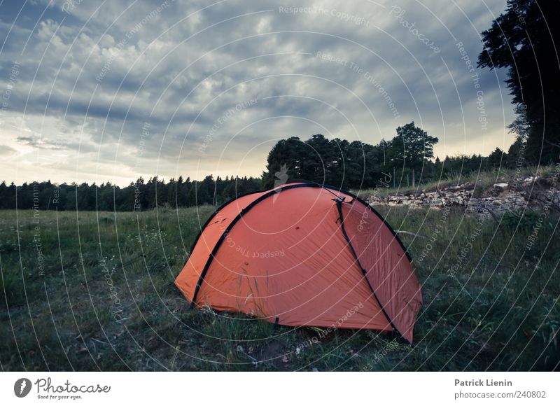 Never stop exploring Freiheit Camping Berge u. Gebirge Umwelt Natur Landschaft Pflanze Urelemente Himmel Klima Wetter schlechtes Wetter Wald Hügel Felsen