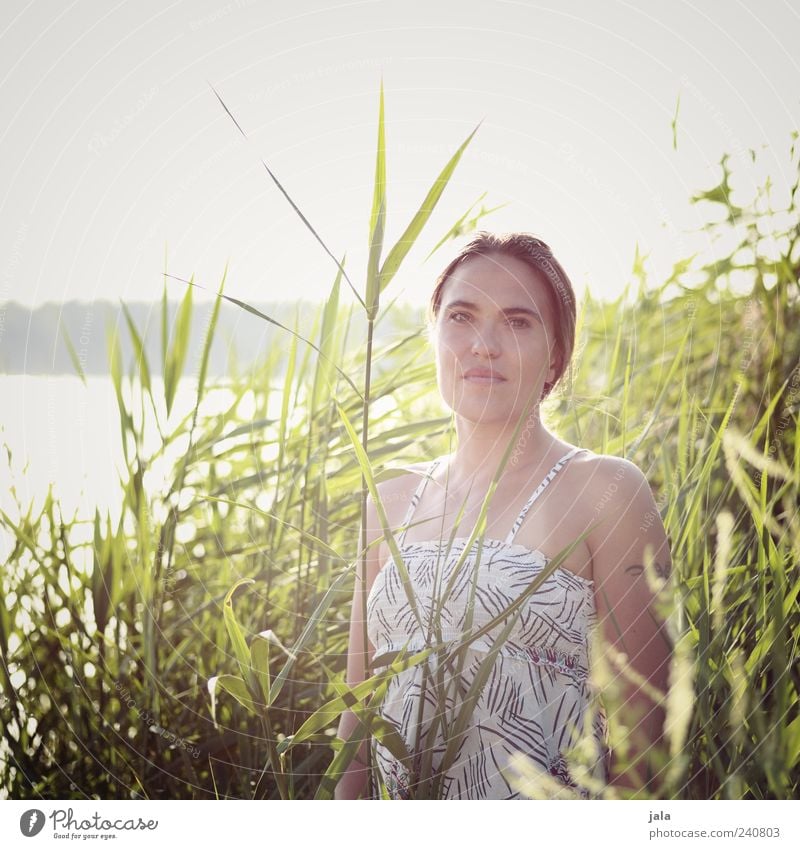 stefania Mensch feminin Frau Erwachsene 1 30-45 Jahre Natur Himmel Sonne Sonnenlicht Sommer Schönes Wetter Pflanze Sträucher Grünpflanze Schilfrohr Seeufer