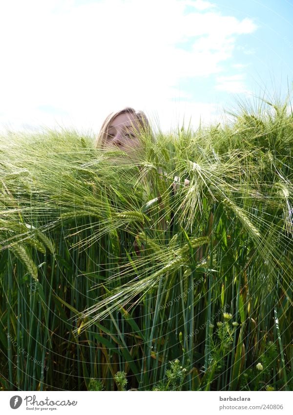 Ein Bad im Getreidemeer Junge Frau Jugendliche Erwachsene Kopf 1 Mensch 18-30 Jahre Natur Sommer Schönes Wetter Nutzpflanze Getreidefeld Feld beobachten Blick