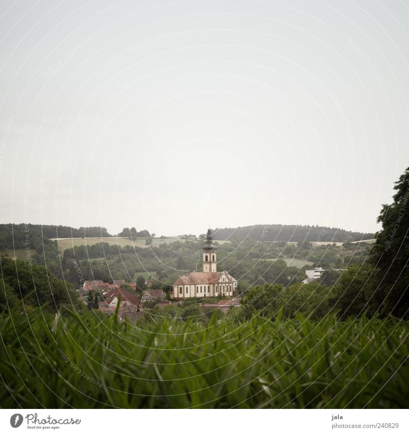 aussicht Natur Landschaft Himmel Wolkenloser Himmel Pflanze Baum Gras Sträucher Feld Wald Dorf Haus Kirche Bauwerk Gebäude Architektur trist Farbfoto