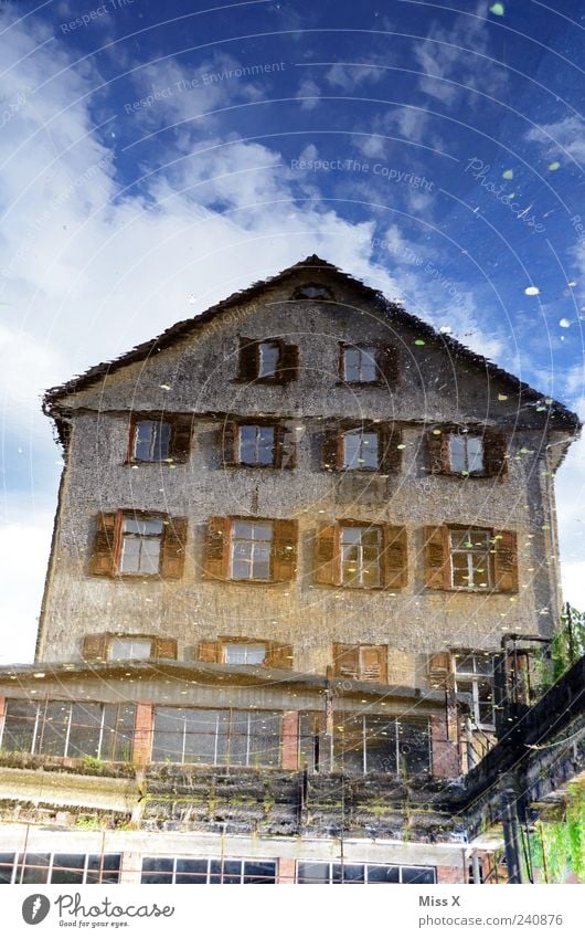 Schwarzwaldhaus Wasser Himmel Wolken Teich See Haus Fassade Fenster blau Wasserspiegelung Pfütze Farbfoto mehrfarbig Außenaufnahme Menschenleer