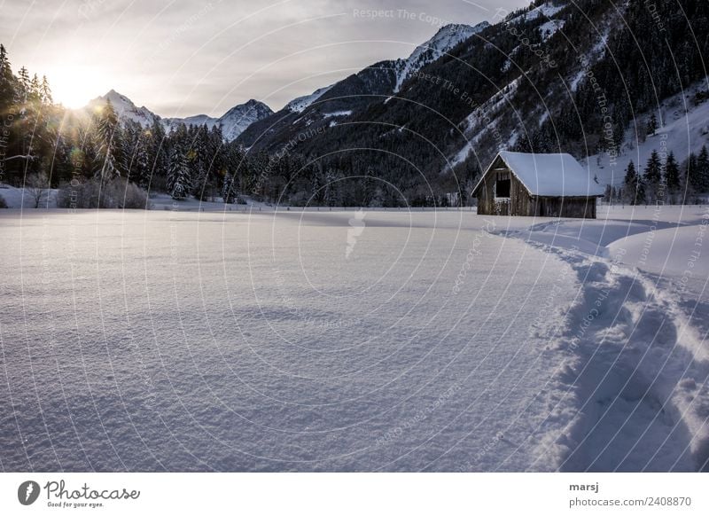 Erneuter Wintereinbruch | Falschmeldung Natur Landschaft Schnee Alpen Berge u. Gebirge kalt Spuren Hütte Scheune Heuschober Schneelandschaft Idylle Klischee