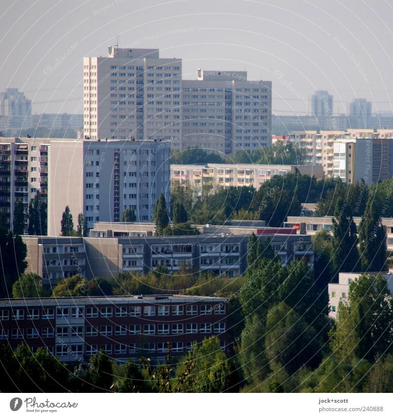 einfach praktisch wohnen in Marzahn Stadtteil DDR Sommer schlechtes Wetter Baum Stadtrand Architektur Plattenbau Stadthaus Fassade trist grau Gelassenheit