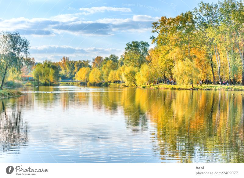 See mit Vögeln im Herbststadtpark schön Erholung ruhig Ferien & Urlaub & Reisen Städtereise Sommer Mensch Menschengruppe Menschenmenge Umwelt Natur Landschaft