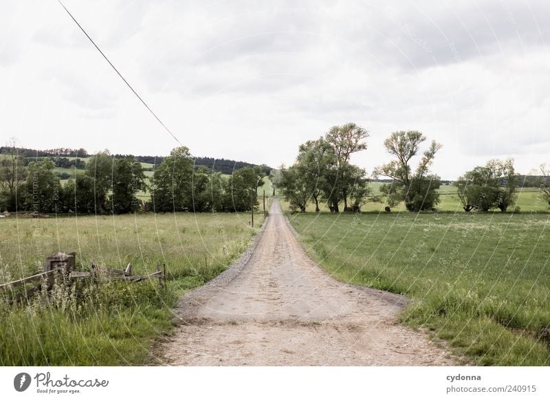 Immer gerade aus harmonisch Wohlgefühl Erholung ruhig Ausflug Ferne Freiheit Umwelt Natur Landschaft Wolken Sommer Baum Wiese Straße Wege & Pfade Bewegung