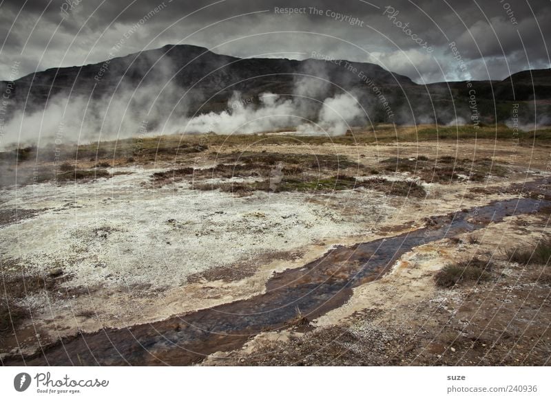 Hell's kitchen Tourismus Berge u. Gebirge Umwelt Natur Landschaft Klima Vulkan Sehenswürdigkeit Rauch außergewöhnlich heiß trist Island Geothermalgebiet