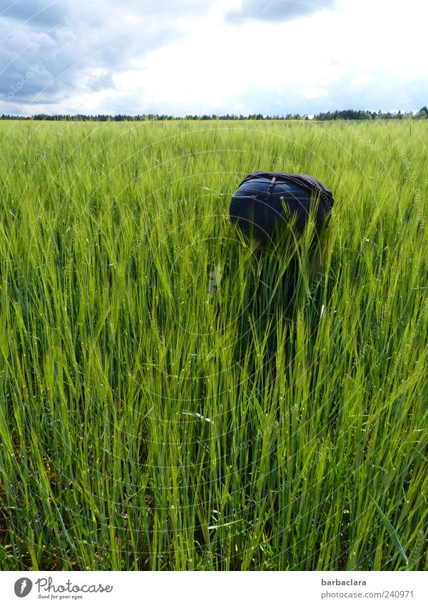 Der Sache auf den Grund gehen Ausflug Frau Erwachsene Gesäß 1 Mensch Natur Sommer Schönes Wetter Getreidefeld Feld Bewegung entdecken blau grün Farbfoto