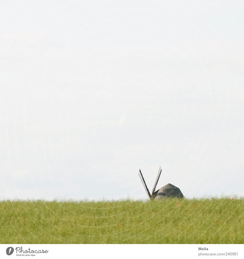 Mühle Umwelt Natur Himmel Frühling Sommer Wiese Perspektive Farbfoto Außenaufnahme Menschenleer Textfreiraum oben Tag Windmühlenflügel Textfreiraum links