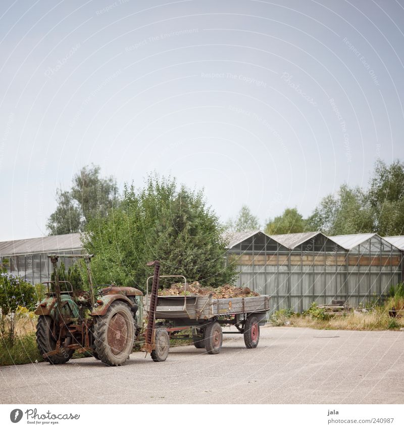 schlepper Himmel Pflanze Bauwerk Gebäude Traktor Anhänger Gärtnerei Gewächshaus Farbfoto Außenaufnahme Menschenleer Textfreiraum oben Tag