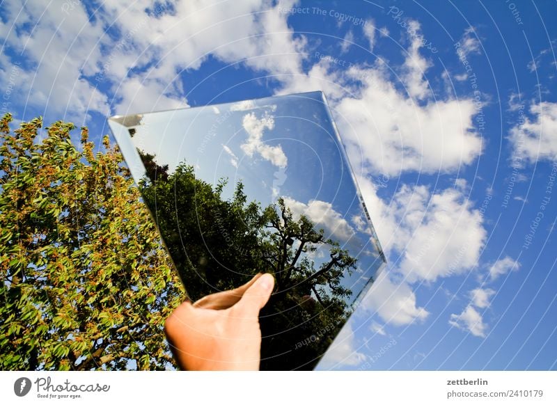 Spiegel im Himmel Spiegelbild Reflexion & Spiegelung Hand festhalten Ast Baum Erholung Garten Himmel (Jenseits) Schrebergarten Kleingartenkolonie Natur Pflanze