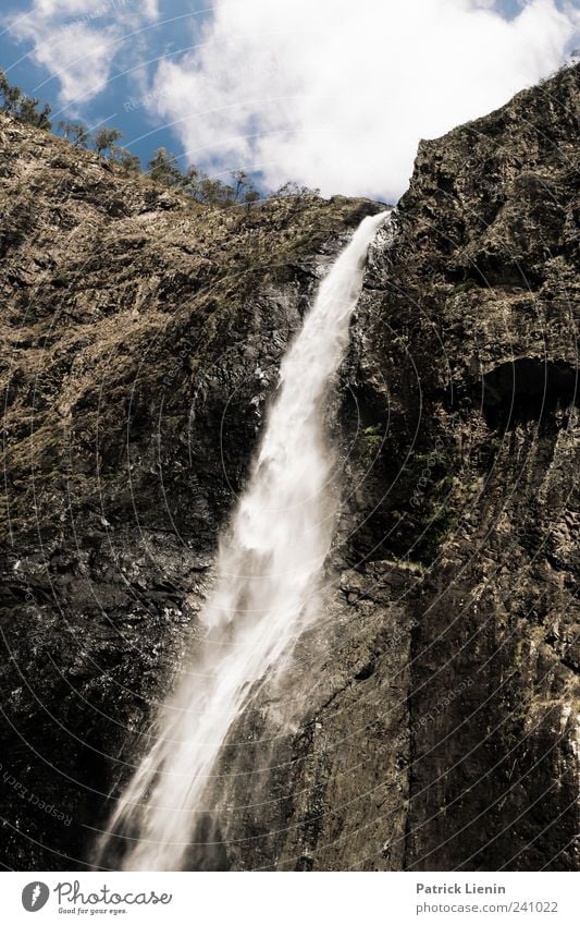 Wooroonooran schön Ferien & Urlaub & Reisen Tourismus Sommer Umwelt Natur Pflanze Urelemente Himmel Wolken Schönes Wetter Baum Australien Wasser Wasserfall