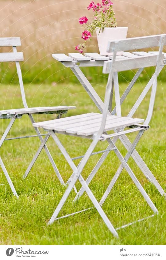 rastplatz Stuhl Tisch Topfpflanze Sommer Schönes Wetter Blume Garten Park Wiese grün rosa Freizeit & Hobby ruhig Gartenmöbel Idylle Freundlichkeit Erholung Gras