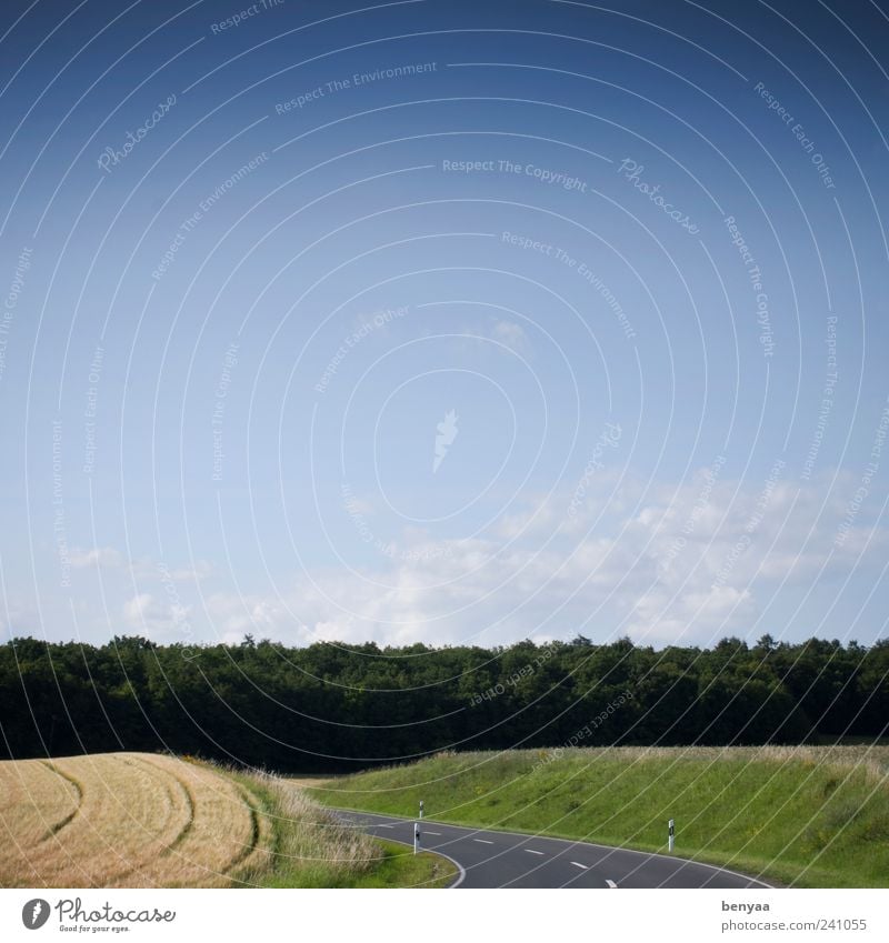 Einfach immer weiter Umwelt Natur Landschaft Wolken Horizont Sommer Schönes Wetter Feld Verkehr Verkehrswege Straße Wege & Pfade Vorfreude Neugier gefährlich