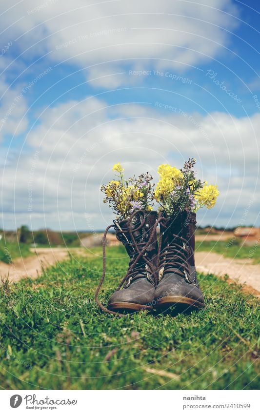 alte Stiefel gefüllt mit Wildblumen im Freien Umwelt Natur Landschaft Pflanze Himmel Frühling Sommer Schönes Wetter Blume Gras Grünpflanze Wildpflanze