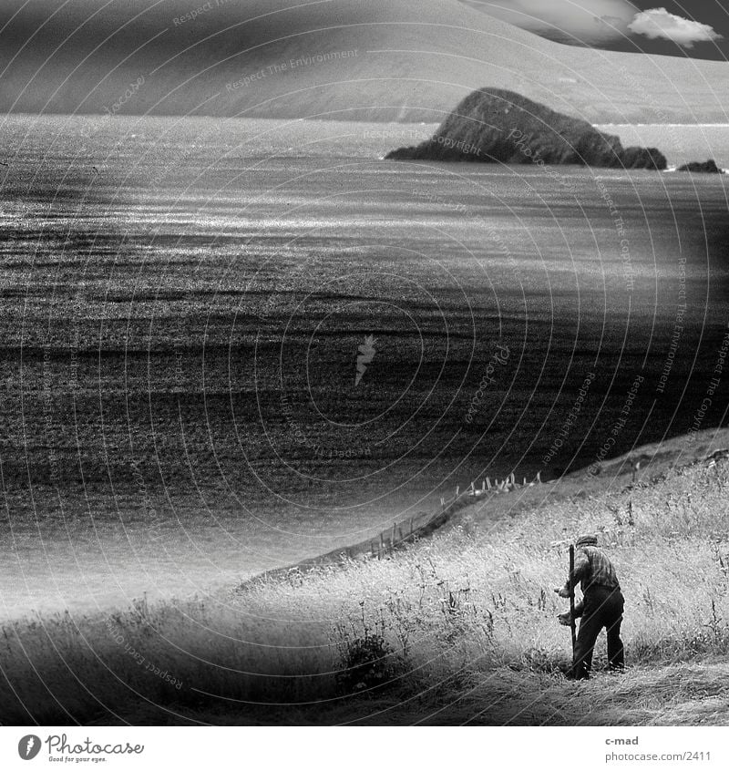 Mähender Bauer am Meer Wolken Sense Wiese Gras Arbeit & Erwerbstätigkeit Stimmung Klippe Wasser Republik Irland Landwirt rasenmähen Schwarzweißfoto