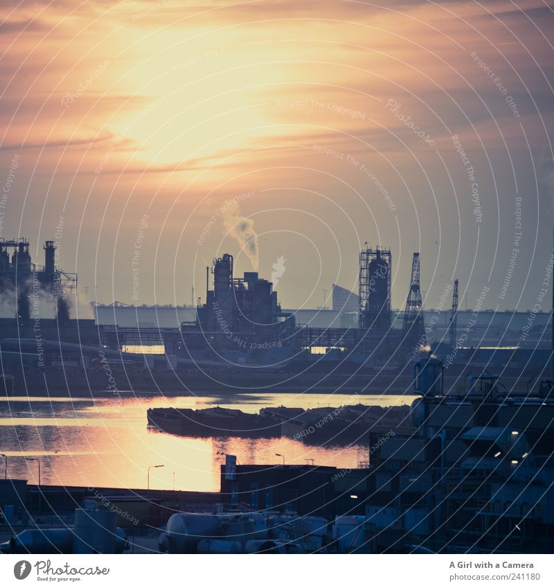 the sky over Rotterdam Flussufer Nordsee Rotterdamer Hafen Industrieanlage bedrohlich dunkel schön trist Niederlande Güterverkehr & Logistik Rauch