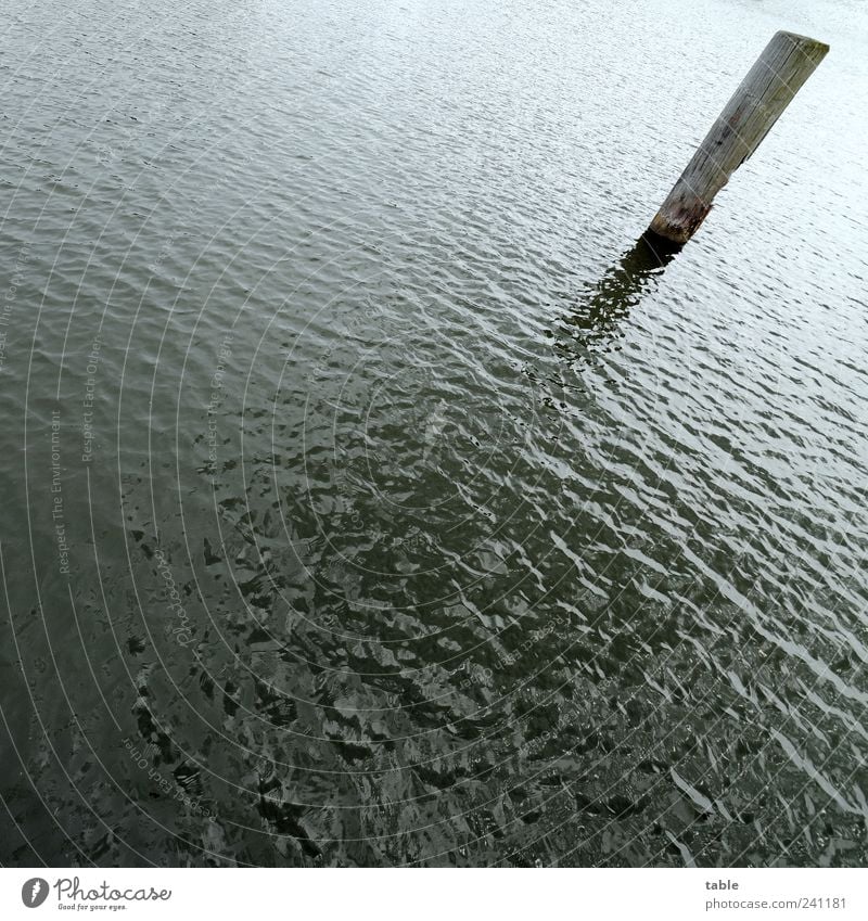 ziemlich schräg Umwelt Natur Urelemente Wasser Sommer Wellen Meer See Anlegestelle Holzpfahl Pfosten stehen dunkel kalt nass trist blau grau schwarz Einsamkeit