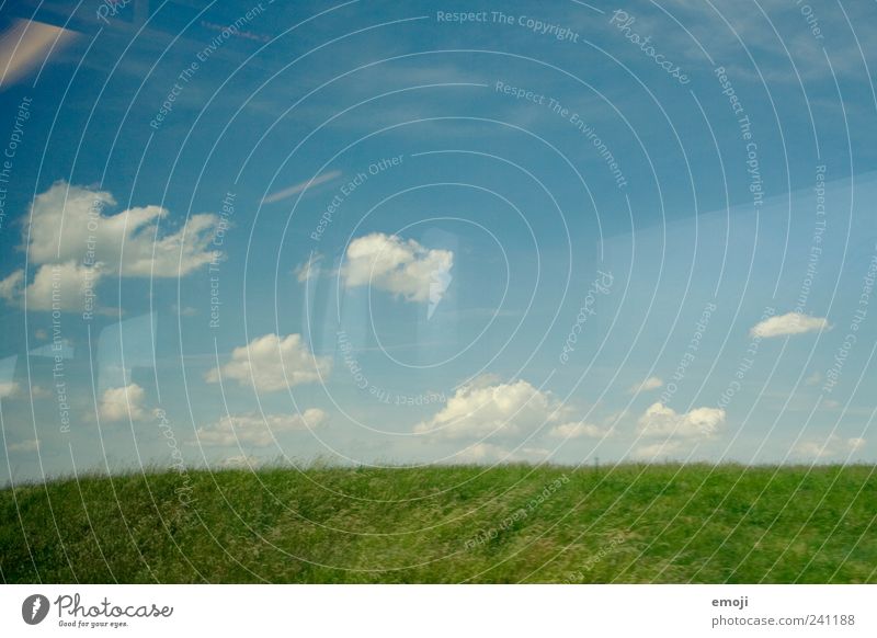 W Umwelt Landschaft Himmel Frühling Sommer Schönes Wetter Gras Feld blau grün Farbfoto Außenaufnahme Menschenleer Textfreiraum oben Textfreiraum unten Tag