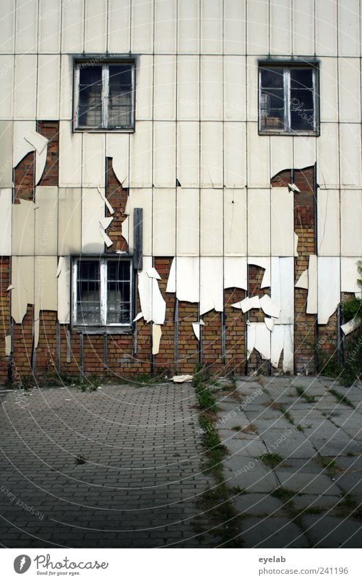 Fetzig Stadtrand Haus Industrieanlage Fabrik Ruine Bauwerk Gebäude Architektur Mauer Wand Fassade Fenster alt dreckig hässlich kaputt trashig trist wild grau