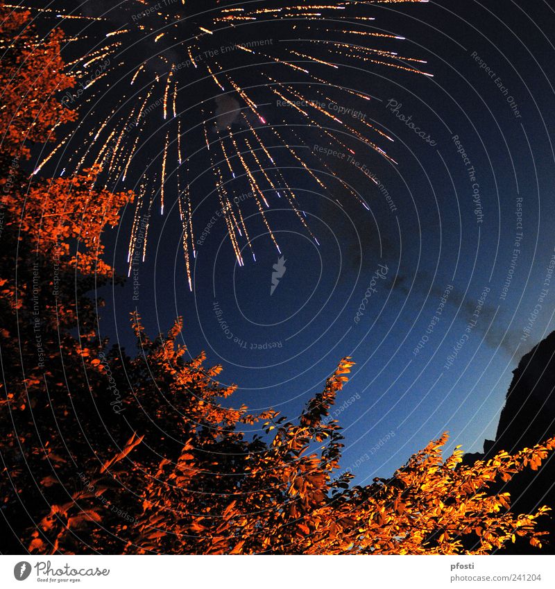 Salut! Freude Entertainment Feste & Feiern Silvester u. Neujahr Veranstaltung Natur Feuer Wolkenloser Himmel Baum Menschenleer Rauch glänzend Rauchen ästhetisch