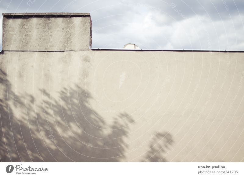 -–_ _ Umwelt Himmel Gewitterwolken Schönes Wetter schlechtes Wetter Baum Blatt Haus Gebäude Architektur Mauer Wand Fassade Dach Brandmauer Dachgiebel Bewegung