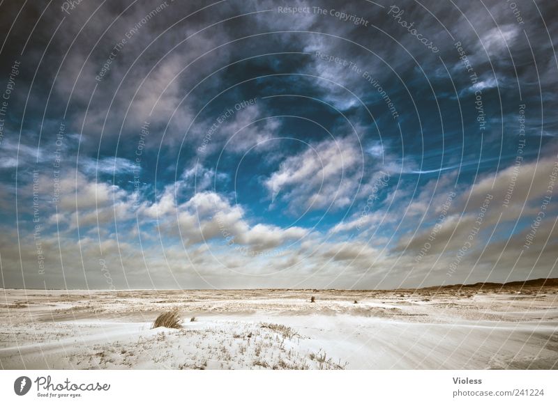 Spiekeroog |....wisps of clouds Natur Landschaft Sand Himmel Strand Nordsee Erholung Wolken Wolkenhimmel blau Farbfoto Außenaufnahme Licht Schatten