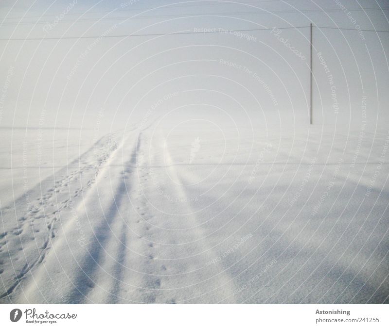 hinein in den Nebel Umwelt Natur Himmel Winter schlechtes Wetter stehen kalt Strommast Hochspannungsleitung Spuren Wege & Pfade weiß blau ungewiss Farbfoto