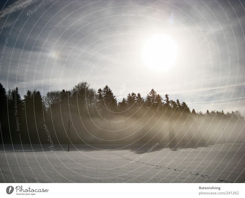 Sonne und Nebel Umwelt Natur Landschaft Pflanze Luft Himmel Wolken Sonnenlicht Winter Klima Wetter Schönes Wetter schlechtes Wetter Schnee Baum Wald blau grau