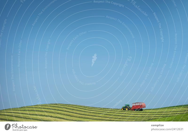 Landwirtschaft Lebensmittel Erholung Ferien & Urlaub & Reisen Tourismus Ferne Freiheit Sommer Sommerurlaub Forstwirtschaft Umwelt Natur Himmel Horizont Sonne