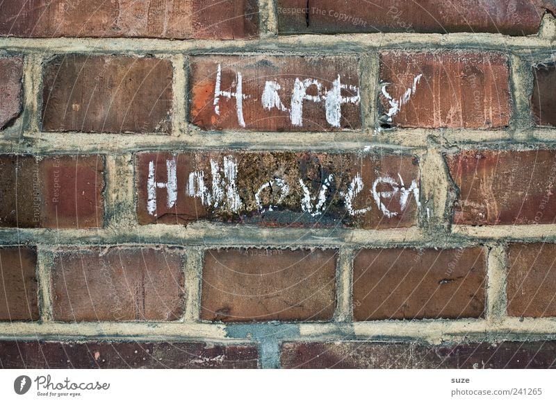 Buuuh Halloween Mauer Wand Backstein Schriftzeichen Fröhlichkeit Kreide Backsteinwand Typographie Handschrift Schmiererei Farbfoto Gedeckte Farben Außenaufnahme