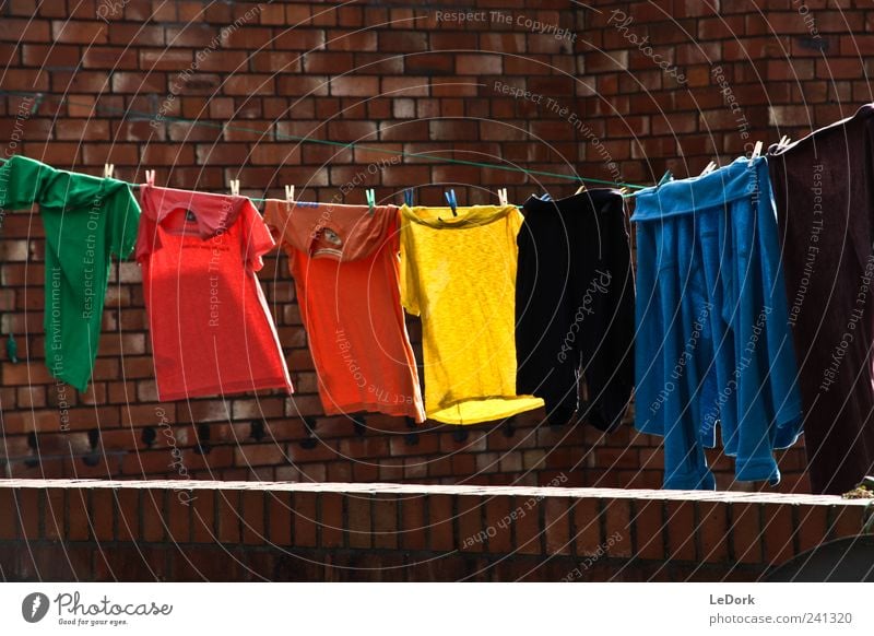 clothes line Häusliches Leben Wäscheleine bevölkert Hinterhof Bekleidung T-Shirt Pullover Backstein Duft Reinigen Sauberkeit weich blau gelb grün gewissenhaft