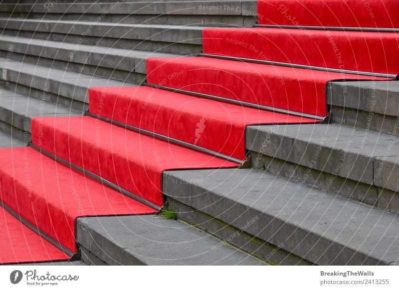 Nahaufnahme des roten Teppichs über der grauen Betontreppe Design Feste & Feiern Bauwerk Gebäude Architektur Treppe Stein Perspektive Treppenhaus steigen