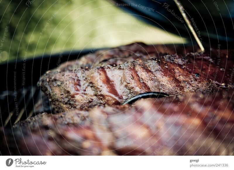 low and slow I Lebensmittel Fleisch Schweinefleisch Spareribs Rippen Ribs Slowfood Grillen Duft Appetit & Hunger geräuchert Farbfoto Außenaufnahme Nahaufnahme