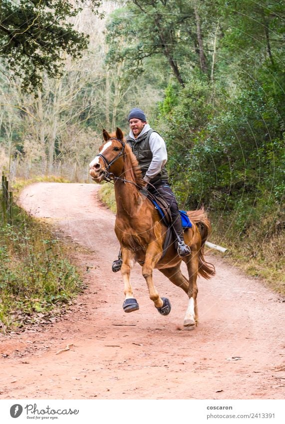 Junger Mann galoppierend auf braunem Pferd Freiheit Sport Frau Erwachsene Natur Landschaft Herbst Leder blond Geschwindigkeit wild Zaumzeug Galopp heimisch