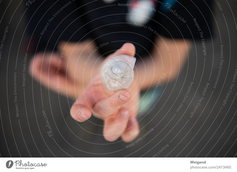 Schneckenzeit Zufriedenheit Sinnesorgane Erholung ruhig Meditation Kindererziehung Kindergarten Kleinkind Junge Kindheit Jugendliche genießen Vertrauen