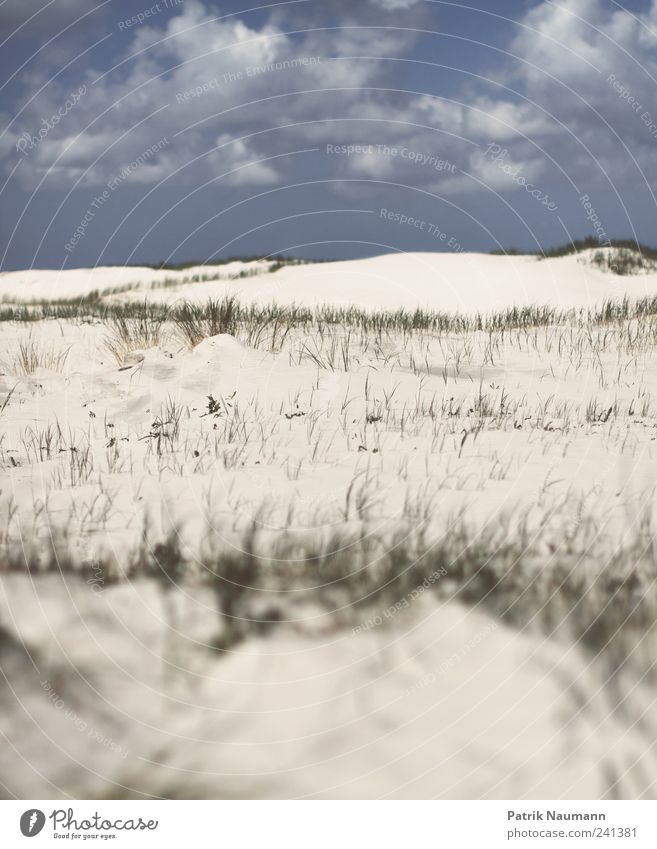 Sand im Sucher Landschaft Wolken Gras Strand Nordsee St. Peter-Ording entdecken Erholung Ferne frei Unendlichkeit weich blau gold grün ästhetisch Zufriedenheit