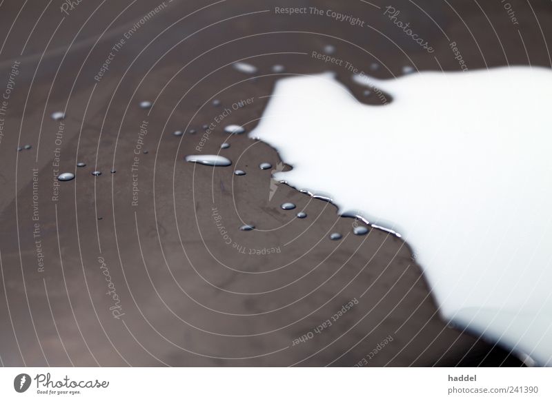 Milchsee Lebensmittel Getränk glänzend kalt nass natürlich Sauberkeit trocken schwarz weiß spritzen Pfütze dreckig Farbfoto Schwarzweißfoto Gedeckte Farben