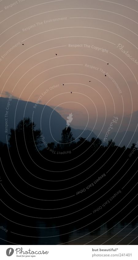 krabat° Umwelt Natur Landschaft Luft Himmel Herbst Schönes Wetter Hügel See Lago Maggiore Warmherzigkeit Sehnsucht Farbfoto Außenaufnahme Dämmerung Silhouette