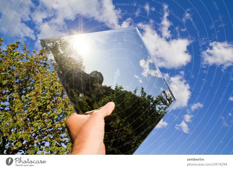 Noch ein Spiegel am Himmel Ast Baum Erholung Garten Himmel (Jenseits) Natur Pflanze Schrebergarten Sommer Textfreiraum Tiefenschärfe Spiegelbild Wolken Sonne