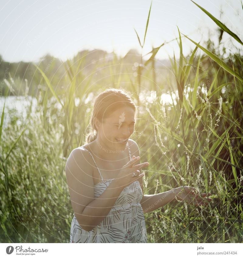 freude Mensch feminin Frau Erwachsene 1 30-45 Jahre Natur Himmel Sonnenlicht Sommer Pflanze Gras Sträucher Blatt Grünpflanze Wildpflanze Schilfrohr See lachen