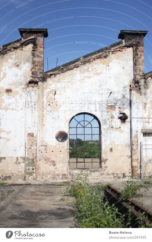 Hinter der Fassade Umwelt Sommer Schönes Wetter Saarbrücken Saarland Stadtzentrum Mauer Wand Stein Rost alt verblüht dunkel kaputt blau weiß Zukunftsangst Ende