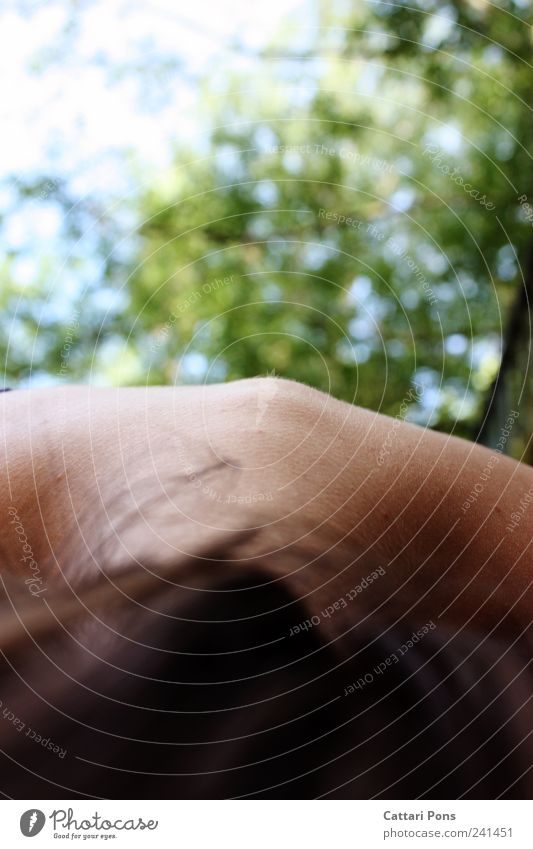 Nacken Frau Erwachsene Baum Garten Park Wiese brünett entdecken Erholung hocken liegen schlafen sitzen einzigartig nah dünn Gänsehaut Haut Unschärfe Farbfoto