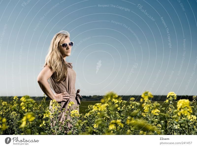 landliebe Lifestyle elegant Stil Erholung feminin Junge Frau Jugendliche 1 Mensch 18-30 Jahre Erwachsene Natur Landschaft Himmel Sommer Blume Feld Kleid