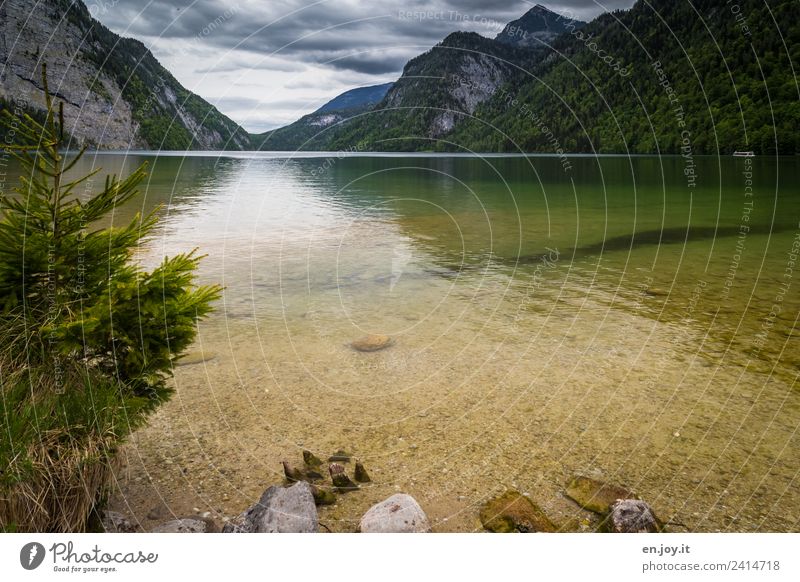 Randerscheinung Ferien & Urlaub & Reisen Ausflug Ferne Berge u. Gebirge Natur Landschaft Gewitterwolken Horizont schlechtes Wetter Baum Tanne Alpen Seeufer